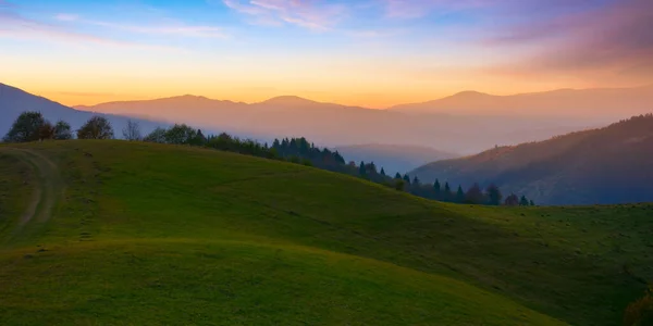 Karpaten Bij Zonsondergang Groene Grazige Heuvels Weiden Rollen Het Verre — Stockfoto