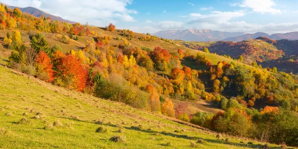 Paisaje Rural Los Cárpatos Otoño Colorido Paisaje Con Árboles Follaje — Foto de Stock