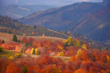 amazing view of carpathian mountains on an autumn day. forested hills in fall colors rolling in to the distant rural valley. low heavy clouds on the sky. scenery in dappled light