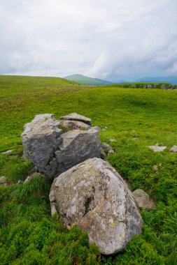 Yağmurlu bir günde Karpatlar 'ın dağ manzarası. Çimenli tepeler ve çayırlardaki taşlar ve kayalar. öngörülemeyen hava tahmini kavramı