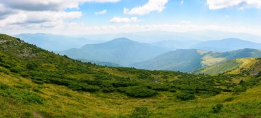 Karpat Dağları 'nın tepeleri ve çayırları. Güneşli bir günde yeşil yamaçlı yaz manzarası. Uzakta kabarık bulutlar olan bir gökyüzünün altında