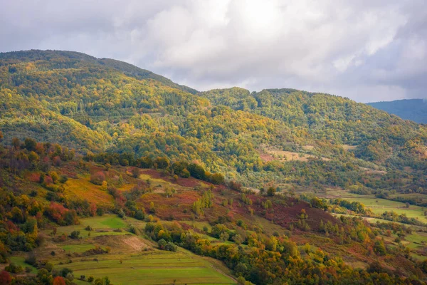 Гірська Карпатська Сільська Місцевість Восени Ліс Осінньому Листі Сільські Поля — стокове фото