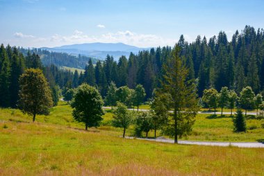 Yazın Karpatlar 'ın dağ manzarası. Ormanlık tepeleri ve vadiden geçen yolu olan güzel bir kırsal.