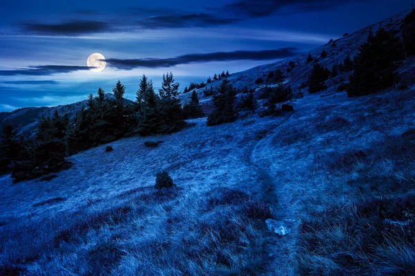 夜晚穿过山岗 草地上有树木的风景 有风吹日晒的青草 有满月的光 在多云的天空下远处的山脊 喀尔巴阡山脉迷人的风景 — 图库照片