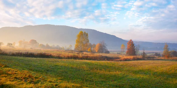 Rural Fields Autumnal Countryside Colorful Mountain Landscape Misty Morning Trees — Stock fotografie