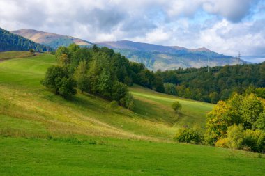 Eylül 'de Karpatya manzarası. Orman tepeleri uzak dağ sırtına doğru yuvarlanıyor. Sonbaharda gökyüzünde kabarık bulutlarla ılık güneşli hava