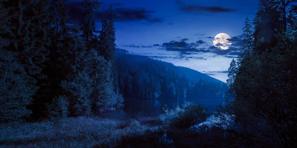 Wild Lake Coniferous Forest Night Beautiful Nature Landscape Carpathian Mountains — Stockfoto