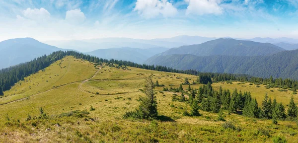 Scenic Chornohora Ridge Landscape Summer Beautiful Scenery Carpathian Mountains Coniferous — Stock Photo, Image