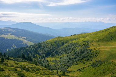 Karpat Dağları 'nın resimli görüntüsü. Tepeleri uzak tepelere doğru yuvarlanan yeşil bir manzara. Sıcak bir yaz gününde bulutlu bir gökyüzünün altındaki dağlık çayırlar.