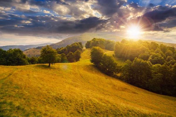夏天日落时的高山草甸 山中的山毛榉林 在深蓝色的天空下 远处的山岭 黄昏的阳光下 云彩飘扬 — 图库照片