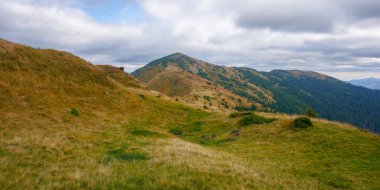 Bulutlu bir sonbahar gününde dağ manzarası. Tepe çayırlarında renkli çimlerin olduğu doğa manzarası. Tepelerdeki ağaçlar
