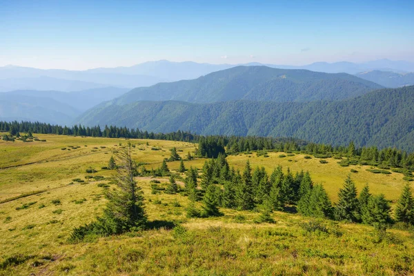 Green Nature Environment Trascarpathia Beautiful Scenery Mountains Chornohora Ridge Summer — Stock fotografie