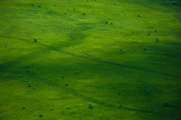 Zielona Powierzchnia Trawy Tekstury Górskie Wzgórze Lecie — Zdjęcie stockowe