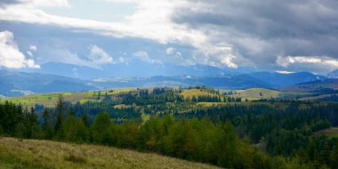 Çimenli tepedeki kozalaklı orman. Sonbaharın başlarında bulutlu bir günde dağlık bir manzara. Karpatya kırsalını keşfetmek