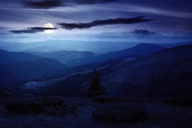 view in to the mountain valley at night. beautiful summer landscape of trascarpathia with forested hills and grassy alpine meadows in full moon light
