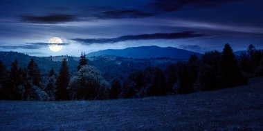 forest on the grassy meadow at night. green summer landscape in mountains. scenery with clouds above the distant ridge in full moon light
