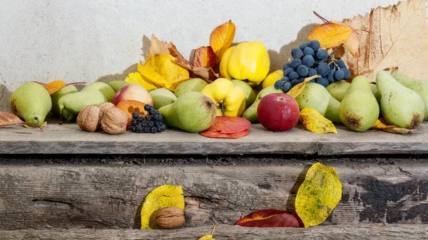 Autumn Harvest Wooden Board Bunch Ripe Fruits Natural Grown Healthy – stockfoto