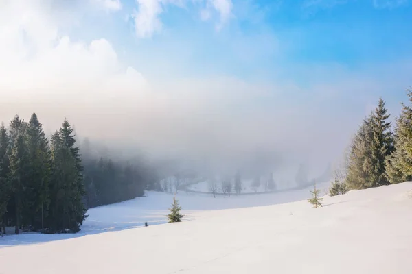 Горный Пейзаж Туманном Восходе Солнца Красивые Зимние Пейзажи Елками Заснеженном — стоковое фото