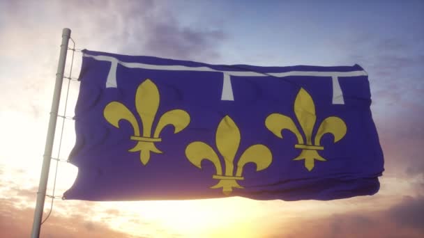 Bendera Orleanais, Prancis, melambaikan tangan dalam angin, langit dan latar belakang matahari — Stok Video