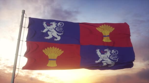 Gascogne-Flagge, Frankreich, weht im Wind, Himmel und Sonne — Stockvideo