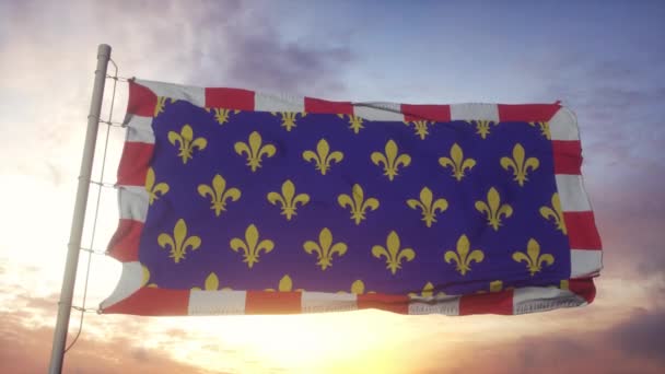 Touraine vlag, Frankrijk, wuivend in de wind, lucht en zon achtergrond — Stockvideo