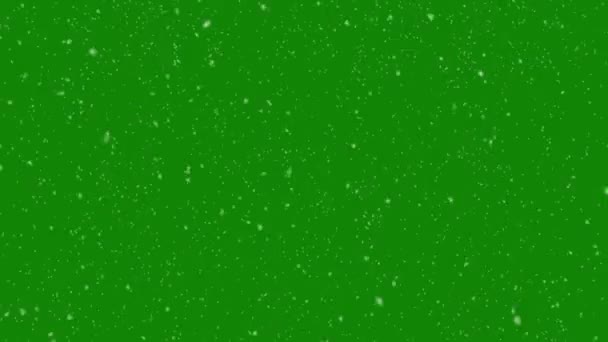 Nieve aislada cayendo en la pantalla verde, lazo sin costuras — Vídeo de stock