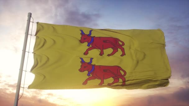 Bearn vlag, Frankrijk, zwaaien in de wind, hemel en zon achtergrond — Stockvideo
