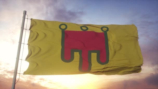 Bandera de Auvernia, Francia, ondeando con el viento, el cielo y el sol — Vídeo de stock