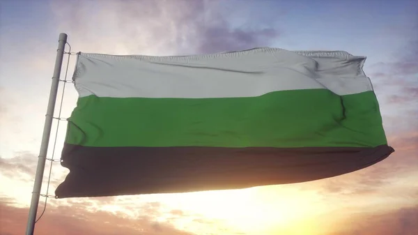纽特鲁瓦骄傲的旗帜在风中飘扬 天空和阳光的背景下 3D渲染 — 图库照片