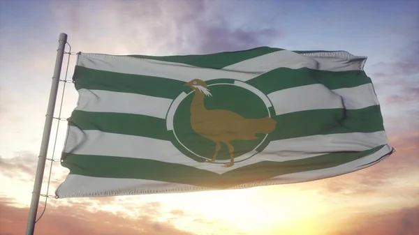 威尔特郡的旗帜 在风中飘扬 天空和阳光的背景下 3D渲染 — 图库照片