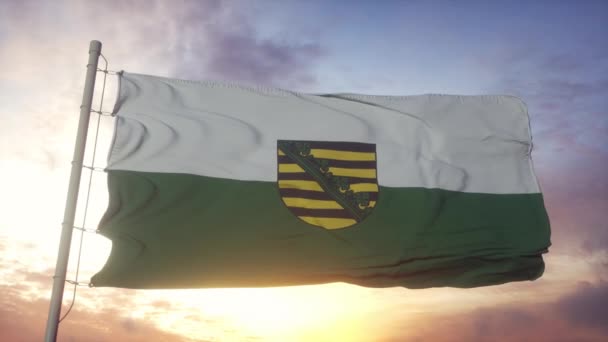 Флаг Саксонии, Германия, размахивая ветром, небом и солнцем — стоковое видео