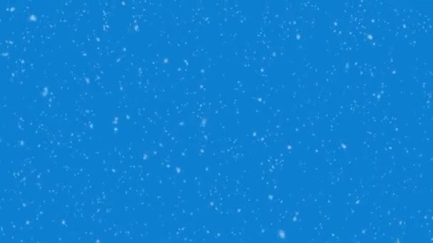 Fallande snöflingor på blå bakgrund, vintersnö. Sömlös 4K loop bakgrund — Stockvideo