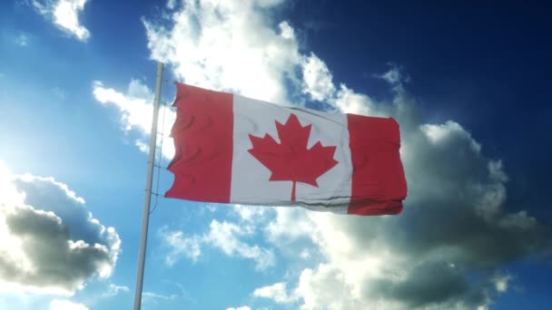 Flagge von Kanada weht im Wind gegen den schönen blauen Himmel — Stockvideo