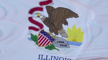 Illinois eyaleti bayrağı, Birleşik Devletler bölgesi, rüzgarda sallanıyor.