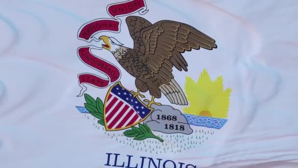 Illinois eyaleti bayrağı, Birleşik Devletler bölgesi, rüzgarda sallanıyor. — Stok video