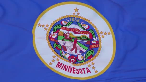 Bandera del estado de Minnesota, región de los Estados Unidos, ondeando al viento — Vídeo de stock
