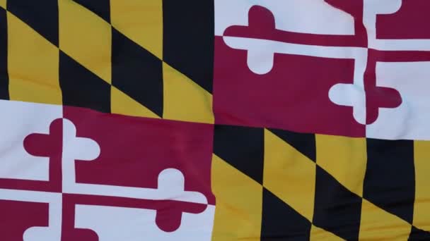 Drapeau de l'État du Maryland, région des États-Unis, agitant le vent — Video