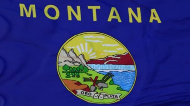 Montana bayrağı, Birleşik Devletler bölgesi, rüzgarda dalgalanan