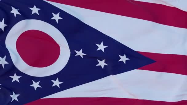 Flagge des Staates Ohio, Region der Vereinigten Staaten, weht im Wind — Stockvideo