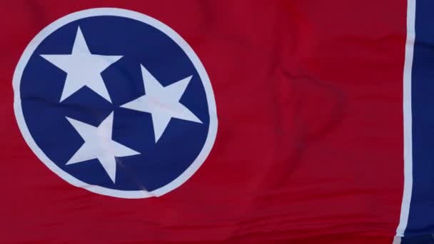 Stát vlajky Tennessee, region Spojených států, vlnící se proti větru — Stock video