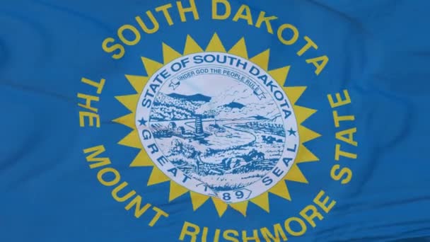 Flaga stanu Dakota Południowa, region Stanów Zjednoczonych, machający wiatrem — Wideo stockowe