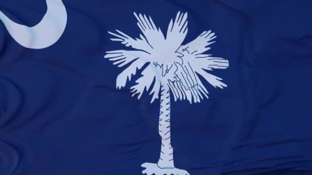 Flagge des Bundesstaates South Carolina, Region der Vereinigten Staaten, weht im Wind — Stockvideo