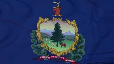Vermont eyaleti bayrağı, Birleşik Devletler bölgesi, rüzgarda dalgalanan