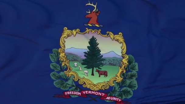 Drapeau de l'État du Vermont, région des États-Unis, agitant le vent — Video