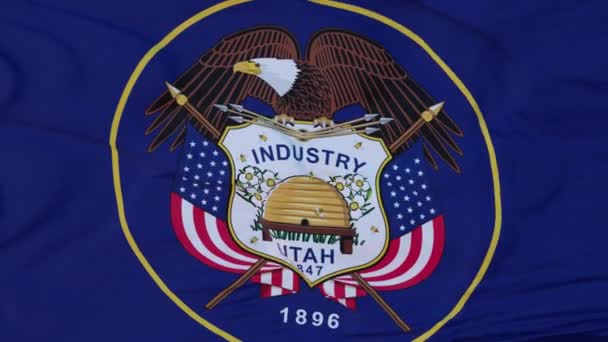 犹他州的国旗，美国的某个地区，随风飘扬 — 图库视频影像