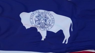 Wyoming eyaleti bayrağı, Birleşik Devletler bölgesi, rüzgarda dalgalanan