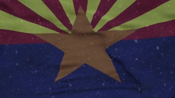 애리조나주의 겨울 깃발에는 눈송이 가 배경에 있습니다. 미합중국 — 비디오