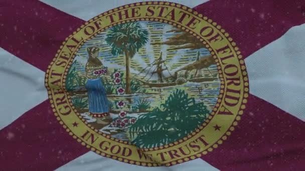 Florida kış bayrağı, kar taneleri arka planda. Amerika Birleşik Devletleri — Stok video