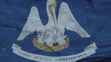 Louisiana kış bayrağı kar taneleri arka planda. Amerika Birleşik Devletleri