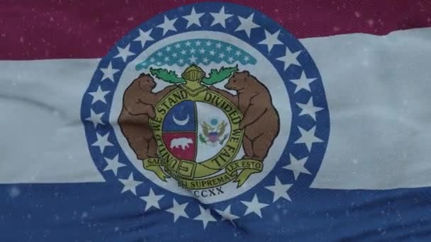 Missouri kış bayrağı ve kar taneleri arka planı. Amerika Birleşik Devletleri — Stok video
